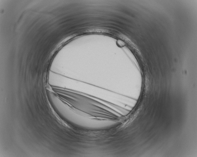 X0000082751033200702240033