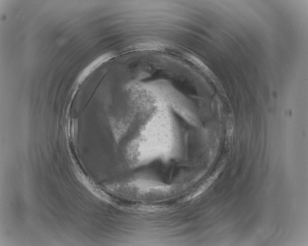 X0000082751034200702240033