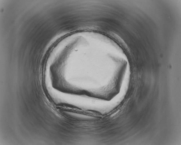 X0000082751035200702240033