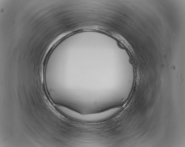 X0000082751036200702240033