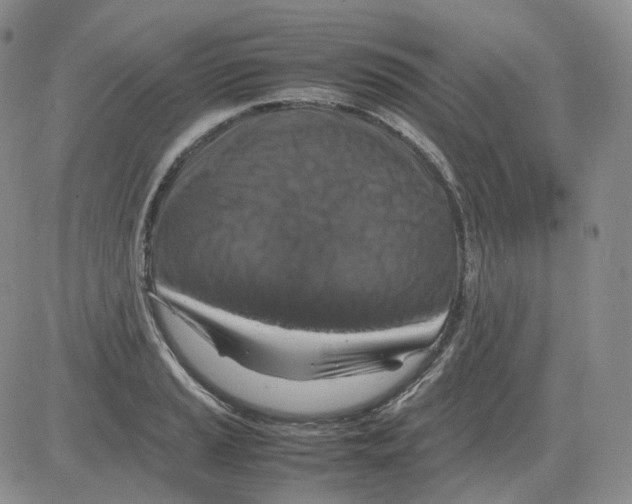 X0000082751037200702240033