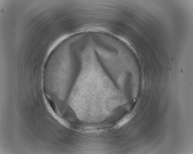 X0000082751038200702240033