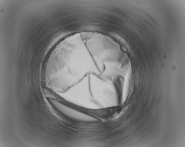 X0000082751039200702240033