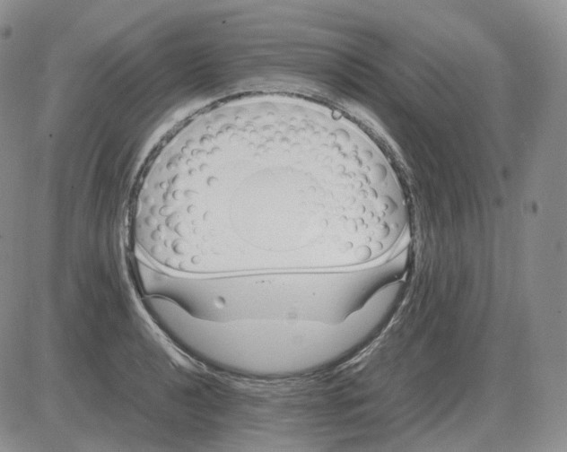 X0000082751040200702240033