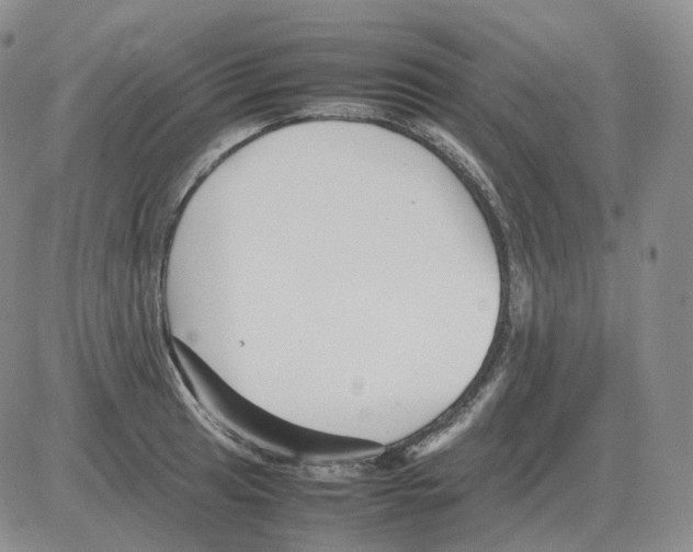 X0000082751041200702240033