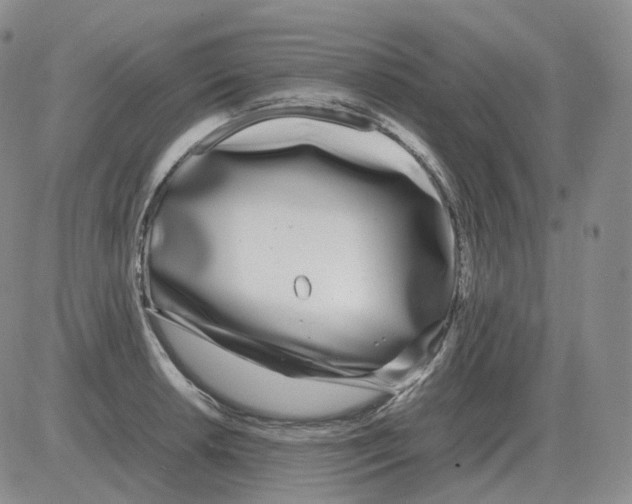 X0000082751042200702240033