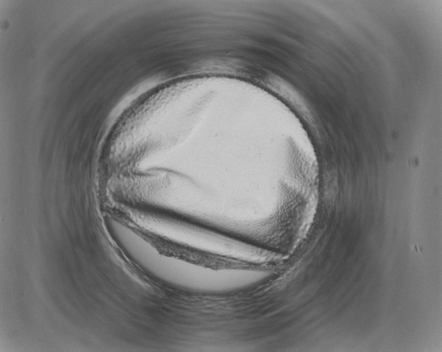 X0000082751043200702240033