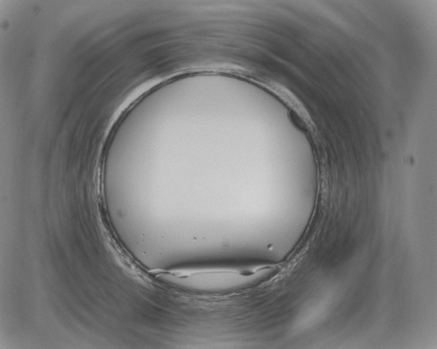 X0000082751044200702240033