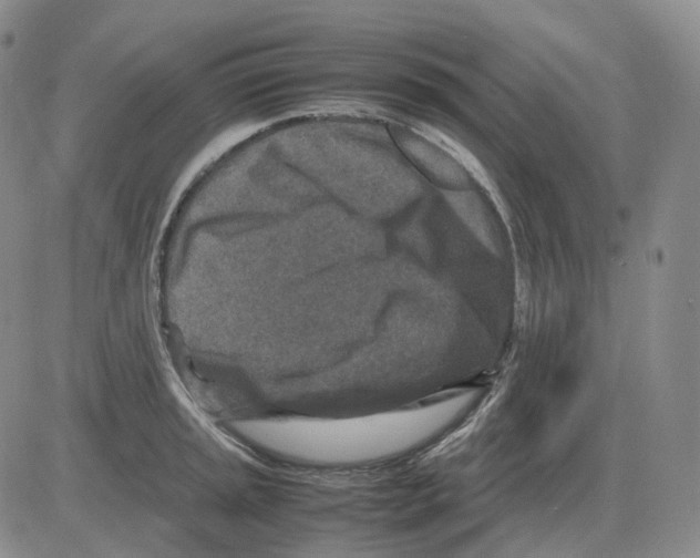 X0000082751045200702240033