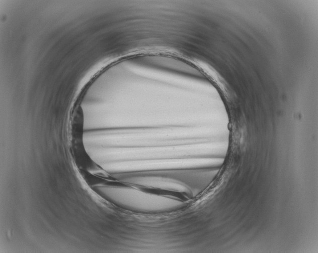 X0000082751046200702240033