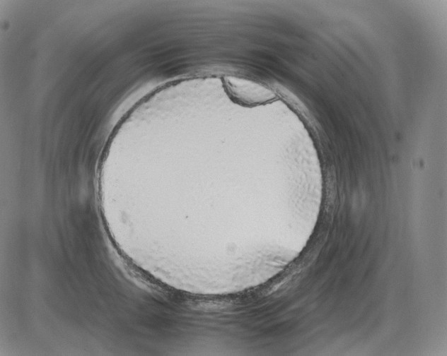 X0000082751047200702240033