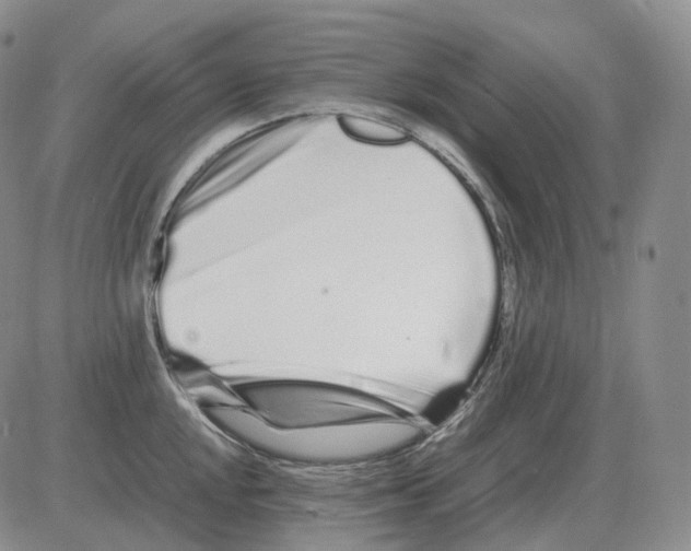 X0000082751048200702240033