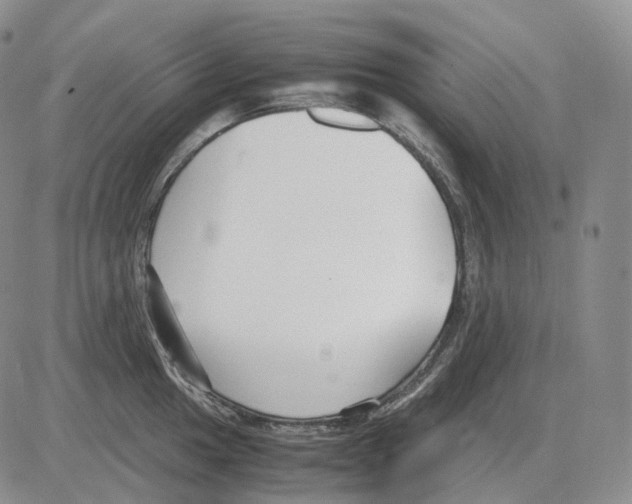 X0000082751049200702240033