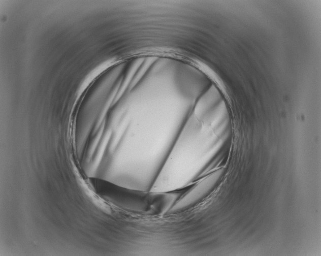 X0000082751050200702240033