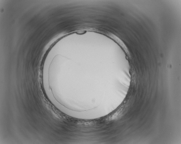 X0000082751051200702240033