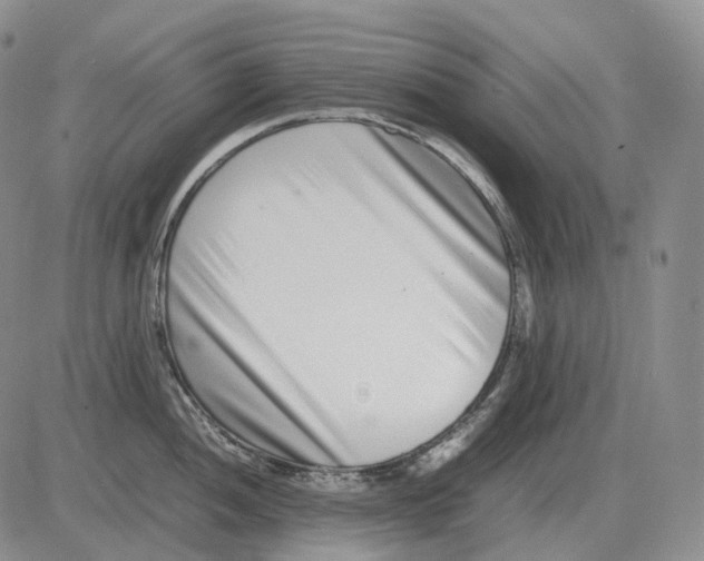 X0000082751052200702240033