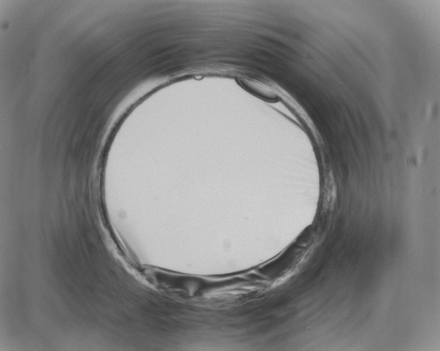 X0000082751053200702240033