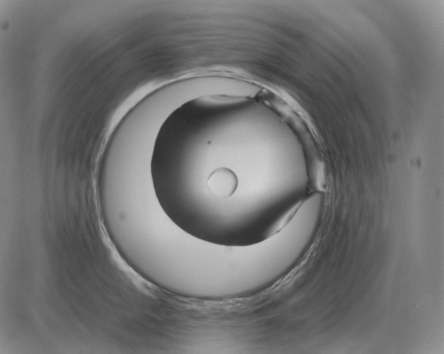 X0000082751054200702240034