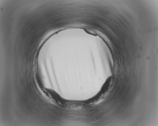 X0000082751055200702240034