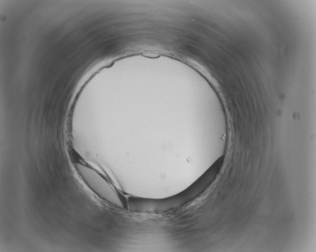 X0000082751056200702240034