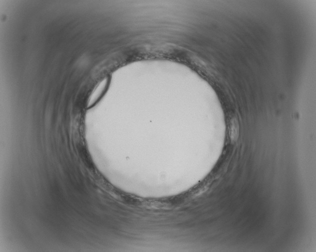 X0000082751059200702240033