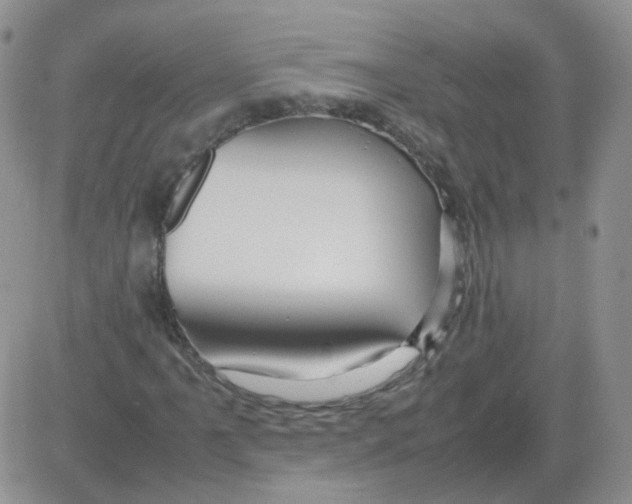 X0000082751061200702240033