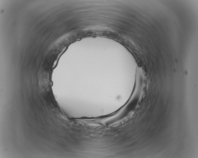 X0000082751062200702240033