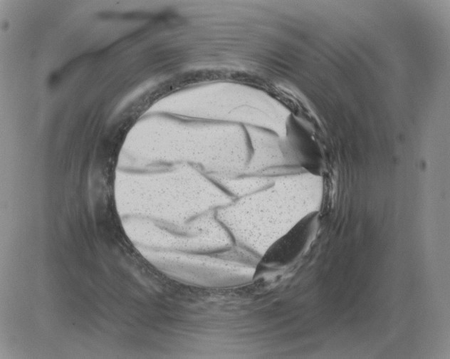 X0000082751064200702240033