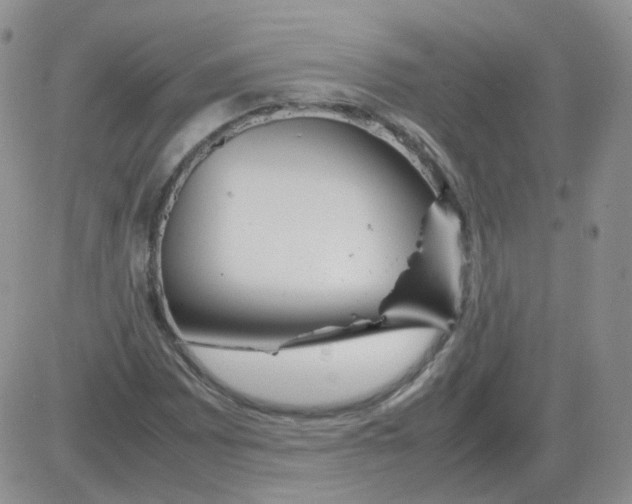 X0000082751065200702240033