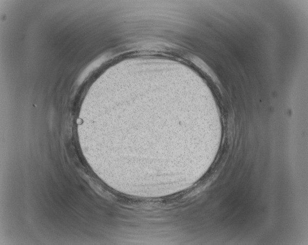 X0000082751067200702240033