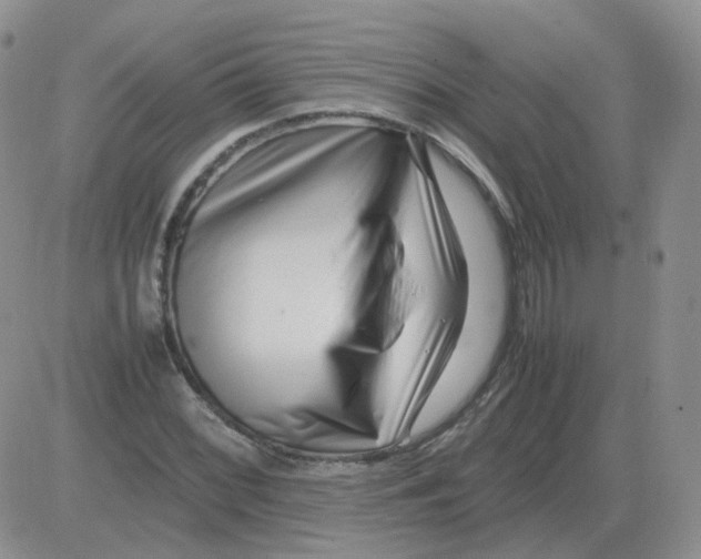 X0000082751068200702240033