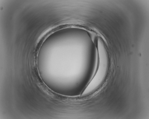 X0000082751069200702240033