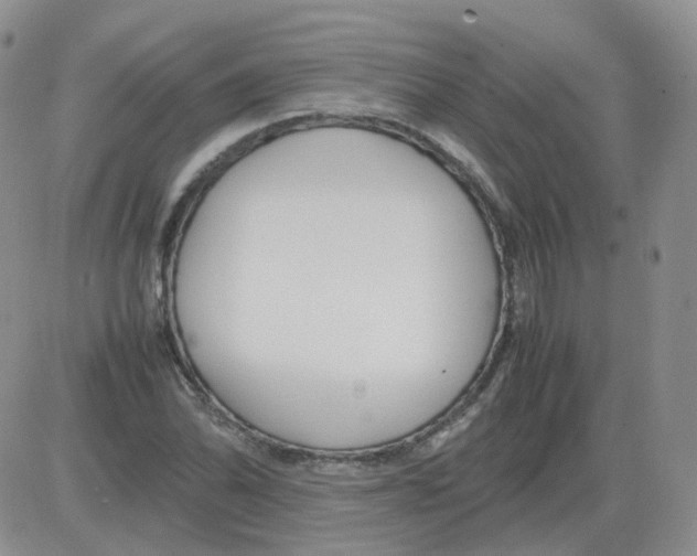 X0000082751070200702240033