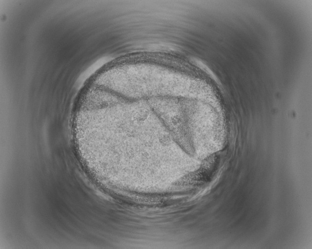 X0000082751071200702240032