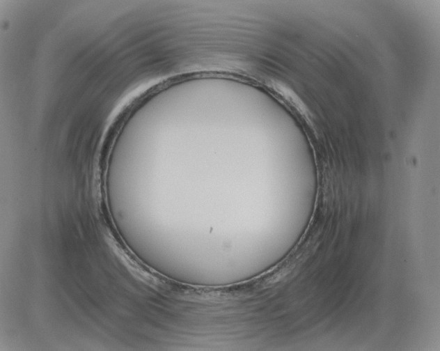 X0000082751072200702240032