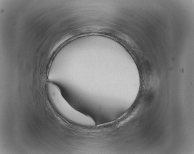 X0000082751073200702240032