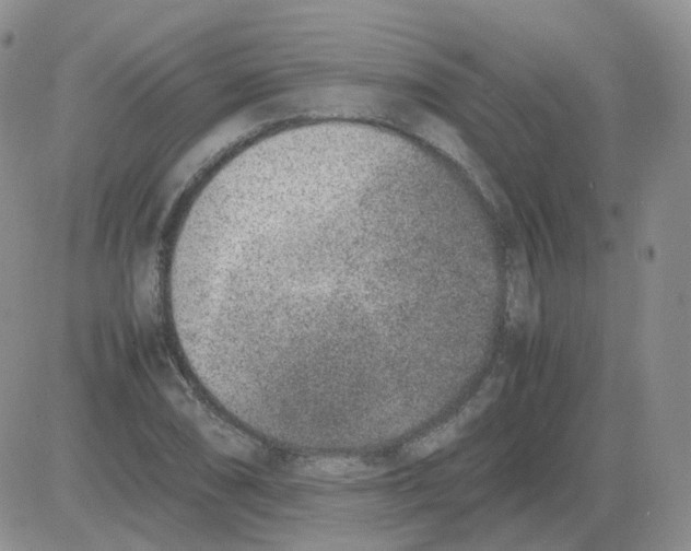 X0000082751074200702240032