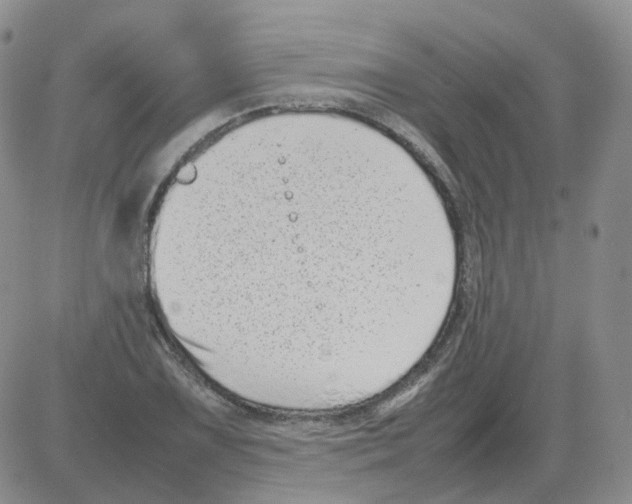 X0000082751075200702240032