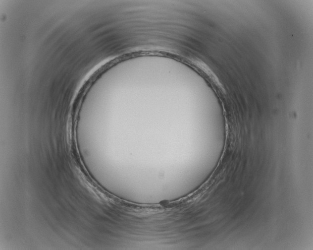 X0000082751076200702240032