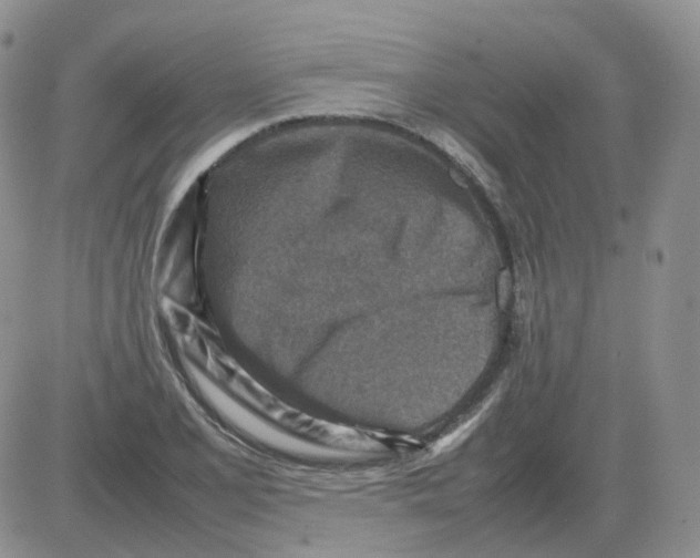 X0000082751077200702240032