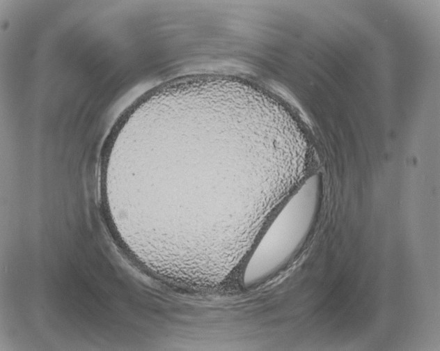 X0000082751079200702240032