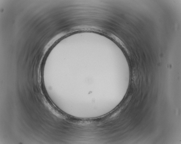 X0000082751082200702240032