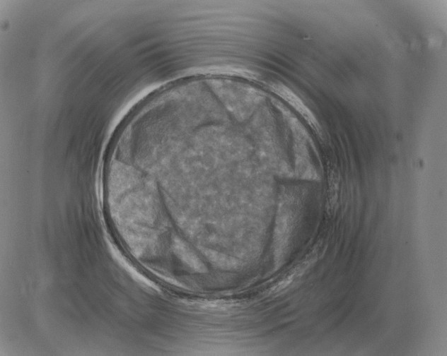 X0000082751084200702240032