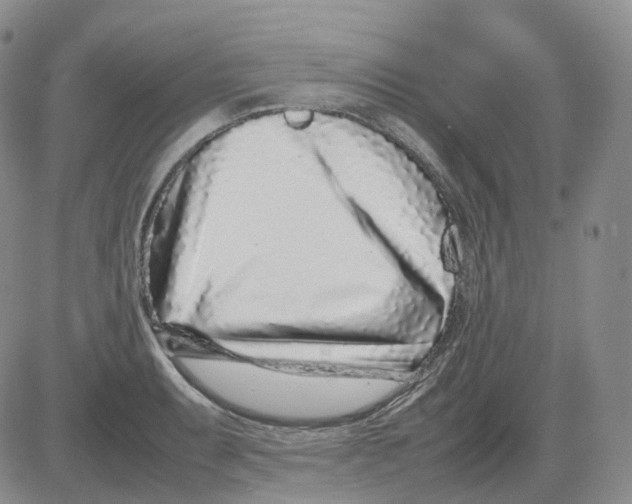 X0000082751087200702240032