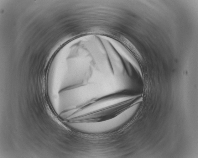 X0000082751092200702240032