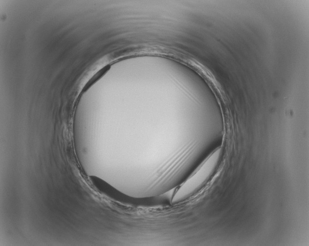 X0000082751097200702240032