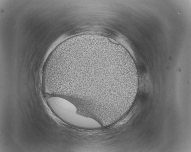 X0000082751099200702240032