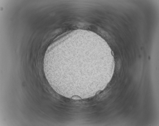 X0000082751105200702240031