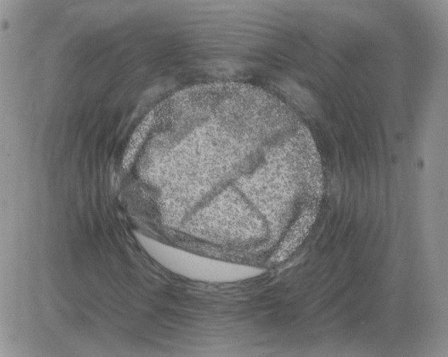 X0000082751106200702240031