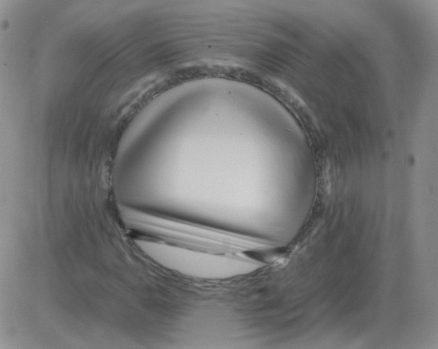X0000082751110200702240031